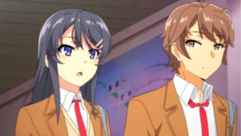 【青春猪头少年不会梦到兔女郎学姐】不知所措